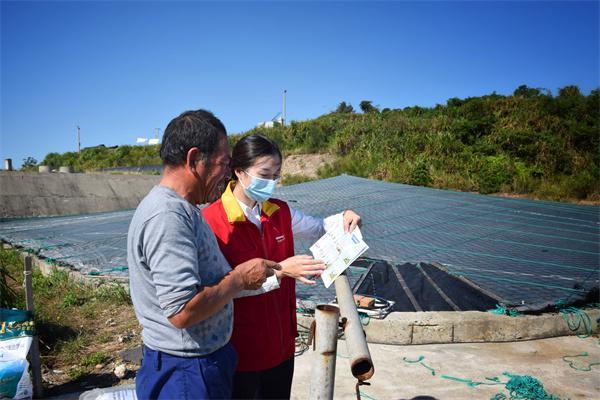 洞头区供电公司“红马甲”助力海岛对虾养殖增收致富