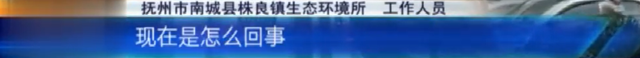 抚州南城：村里有家牛蛙养殖场 村民烦恼不断