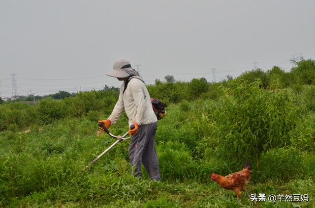 自学养殖搞农场，为何坚持5年都不曾绝望？他的那些经历让我泪目