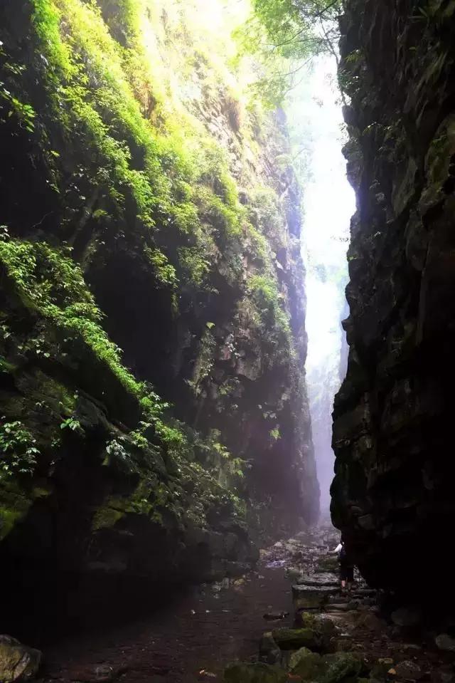 7月拒绝高温，乐山周边这些高颜值的乡村，了解一下吧！