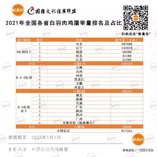 全国白羽肉鸡屠宰量排名公布，TOP5是这五个省份