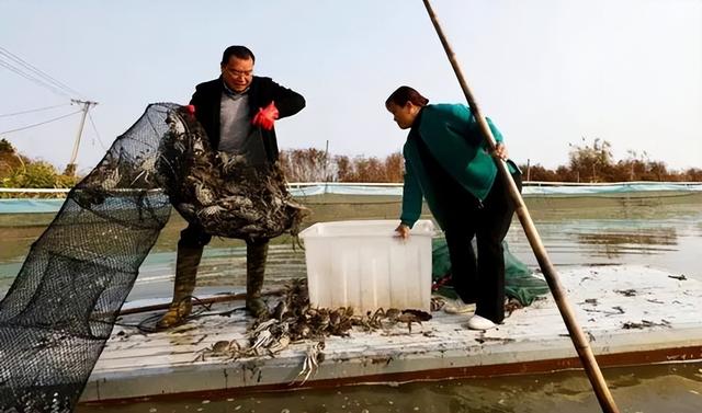 冬季水产养殖，这些管理要点要牢记