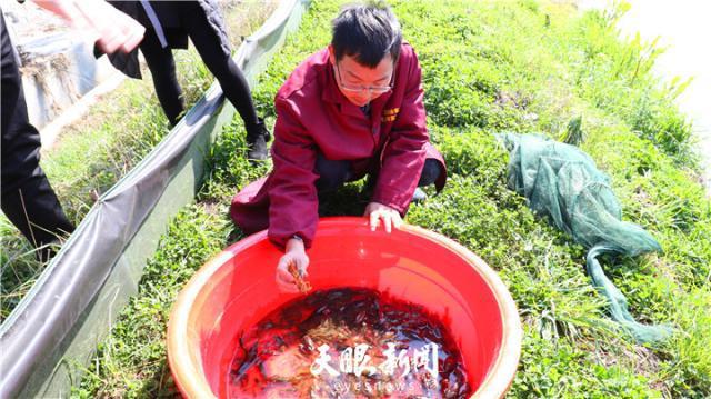 做活水文章，实现新突破！贵州省六盘水市六枝特色水产养殖风生水起