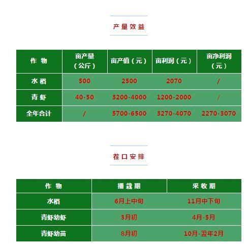 稻虾（青虾）共作每亩多赚两千，这个新模式你敢约吗？