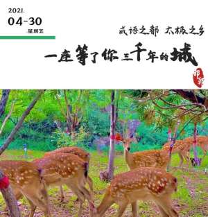 孔雀养殖永年(邯郸部分景点免费五一遛娃神地来啦)