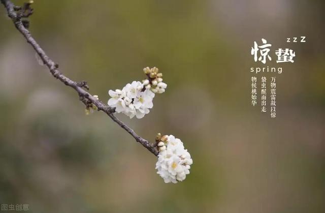 惊蛰时节，4种海鱼正当季，价格低廉味道鲜，内行都会买来尝鲜