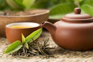 茶树养殖方法(如何管理好茶园，好喝的茶叶是如何种植出来的呢？)