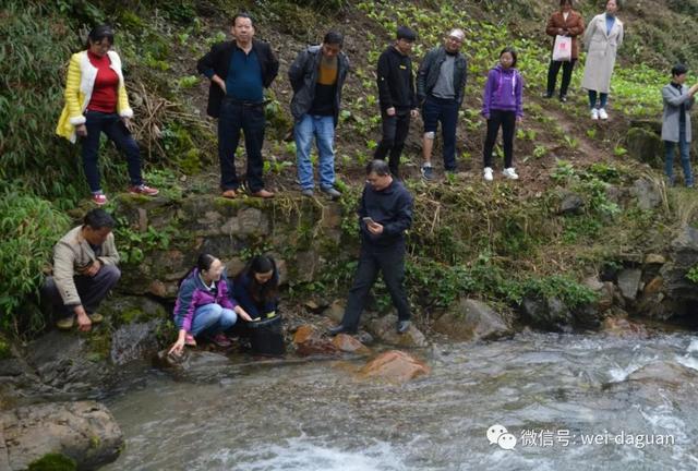 双河村投放4万余尾鱼苗发展溪河养鱼