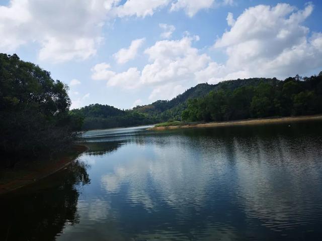 鹏城风致 深圳平湖生态园