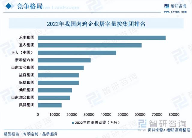 【前景趋势】一文读懂2023年肉鸡养殖行业未来发展前景