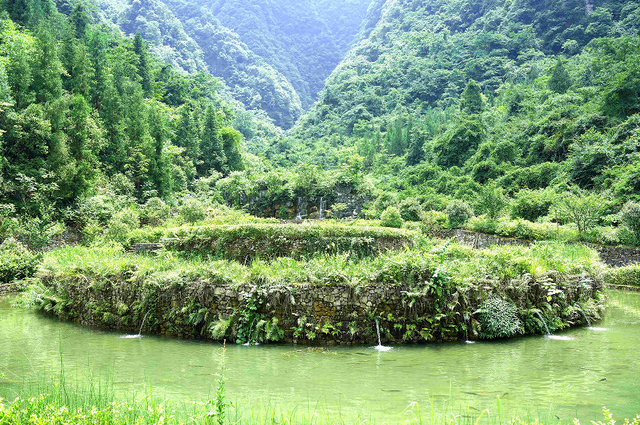 【乡村振兴示范地】青杠塘镇：高山生态鱼 “游”出致富路