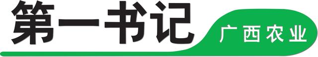 广西灵川：因为有了这位第一书记，这个“一穷二白”的村落大变身，村民脱贫致富在望