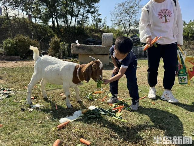 我是新农人丨孩子爱吃草莓，他建起530亩农场！“八零小伙”，让南方水果也在青岛安家