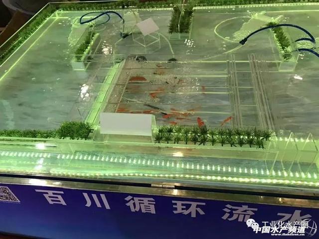 底增氧、推水、活水……这种微孔增氧机为何成为养殖新宠