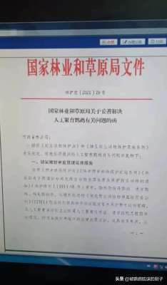 河南鹦鹉养殖基地(好消息河南省开展鹦鹉标识试点，人工繁育这四种鹦鹉可合法出售)