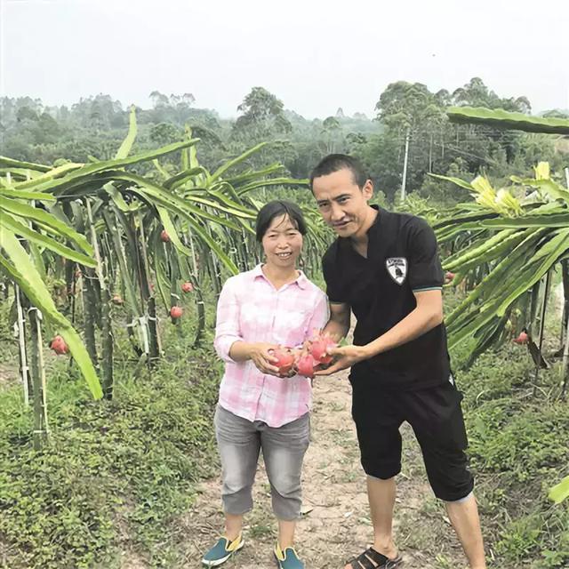 7月拒绝高温，乐山周边这些高颜值的乡村，了解一下吧！