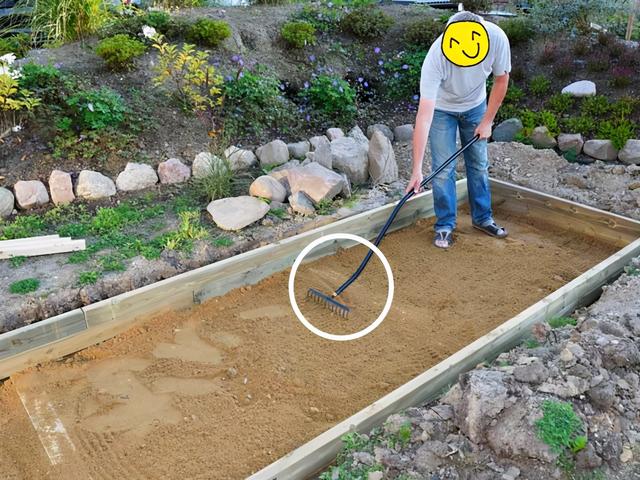 院子里空空的，大叔自己挖个2米长的水池，种睡莲养养鱼，多惬意