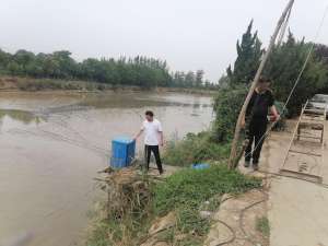 华阴小龙虾养殖基地(华阴市水产工作站：积极开展外来入侵水生动植物普查工作)