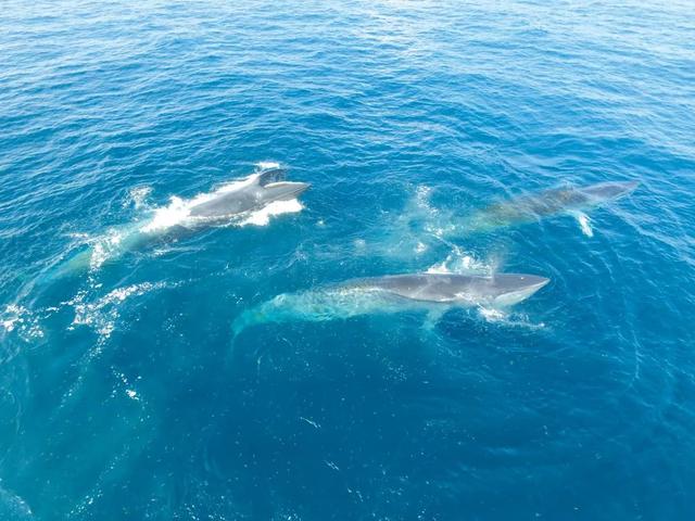 北海：打造一张名副其实的“海名片”