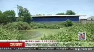 某水库养殖场(养殖场鸭子无故死亡，村民怀疑水库水质受污染)