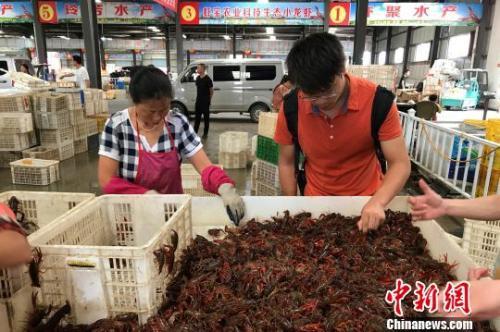 中国首所龙虾学院量产“小龙虾人才”