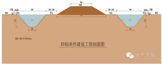 小龙虾（虾塘如何建设，虾稻坡度比多少？）讲的非常详细收藏