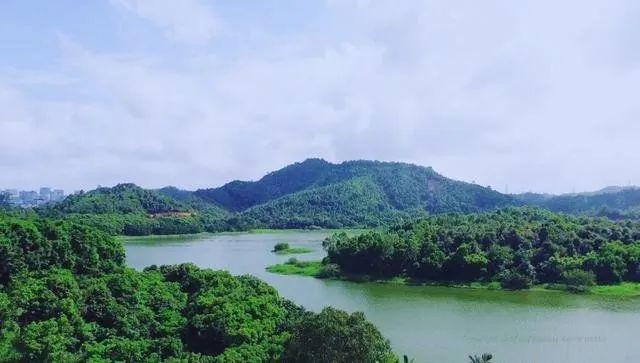 鹏城风致 深圳平湖生态园