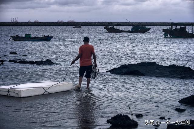 傍晚赶海，“巧遇”渔民海里放海螺，原来海螺是这样养殖的