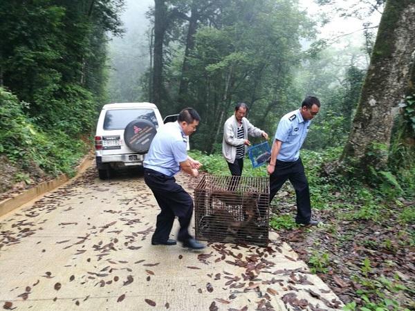 云南：村民非法驯养、繁殖野生动物被查处