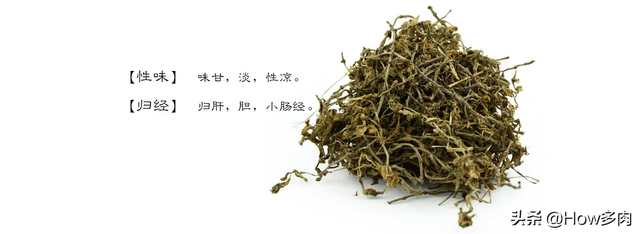 分享一款“宝藏”多肉植物：垂盆草（别称豆瓣菜），有颜又实用