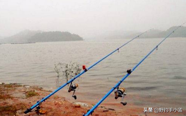 它和鲶鱼大同小异却让人情有独钟—浅谈长江鮰鱼钓法选择