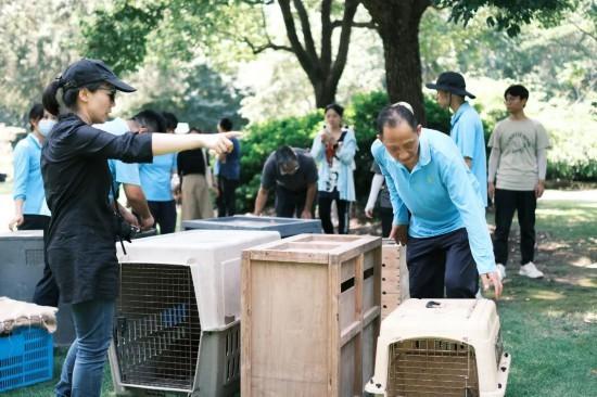 促进生物野外种群恢复，它们被放归重回故里！