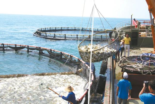 北海：打造一张名副其实的“海名片”