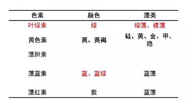 养殖高手：定向培养藻类之科学肥水与科学看水！