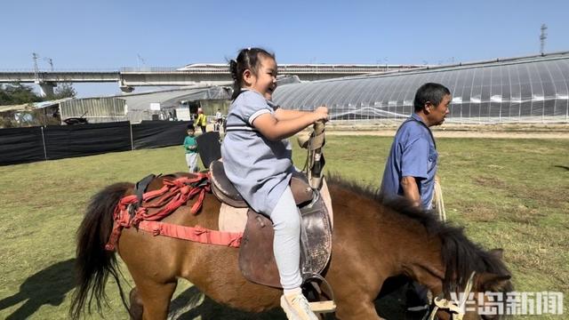 我是新农人丨孩子爱吃草莓，他建起530亩农场！“八零小伙”，让南方水果也在青岛安家