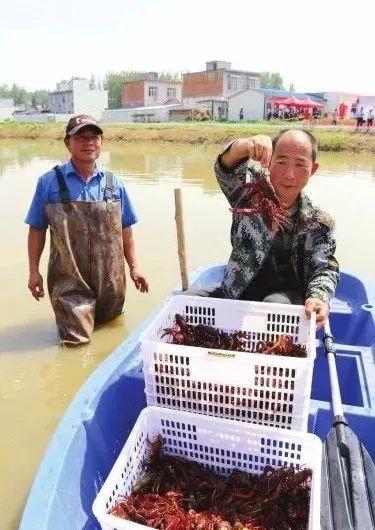 小龙虾、黑猪肉、乌骨鸡、白玉蜗牛……南阳新特产，渐成吃货追捧的“爆款”！