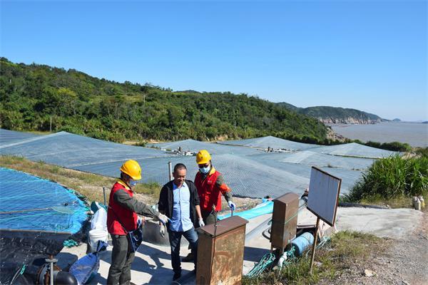 洞头区供电公司“红马甲”助力海岛对虾养殖增收致富