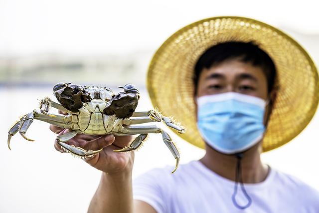 【图集】新疆“海鲜”火出圈，走近沙漠里的水产养殖