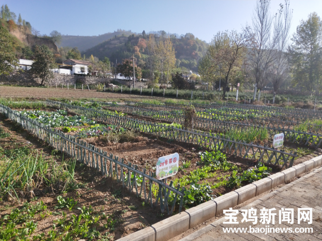 宝鸡河滩荒地变身“开心农场”，现场划分出近200个专属菜园