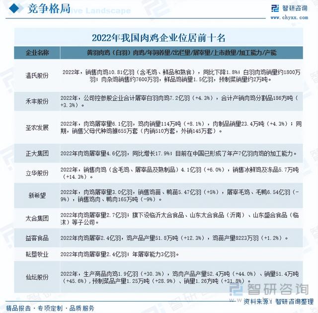 【前景趋势】一文读懂2023年肉鸡养殖行业未来发展前景