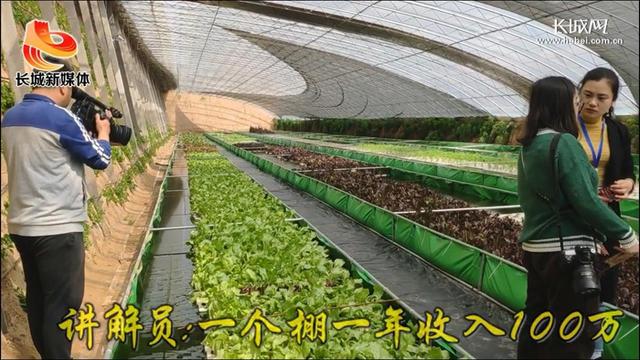 【视频】农业高质量发展：鱼菜共生 一个大棚年产值可达100万元