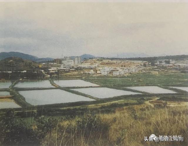 部队在深圳偏远的“猫颈田”建营区这里叫“景田”已成为黄金地段