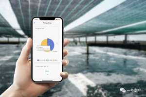 对虾自动化养殖(越南高科技养殖的“黑科技”，只要一部手机，就能实现自动化养殖)