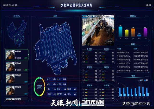 「新年开门红」贵州世界农场平坝肉牛交易养殖中心项目：追赶进度 力争早日建成投产