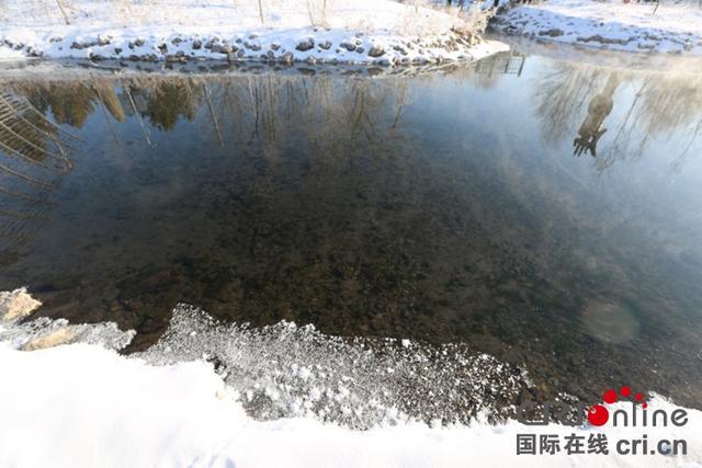 「新春走基层」“乌兰浩特老干妈”让孔雀在冰天雪地安了家