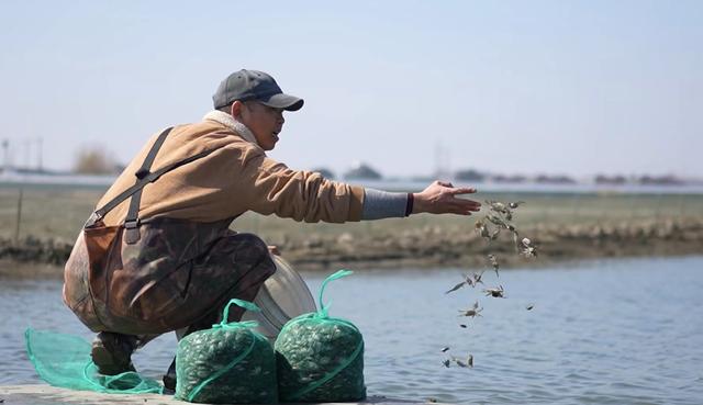 实现“吃蟹自由” 江苏兴化蟹农开启水上春耕