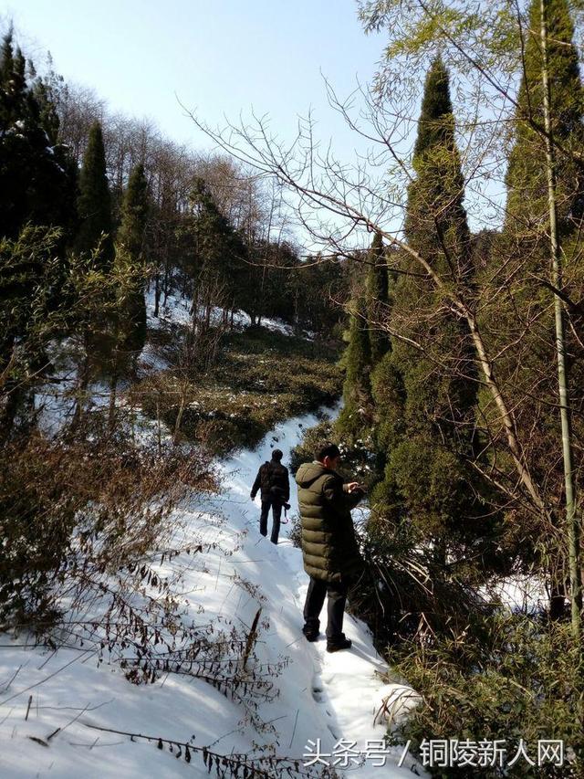 「铜陵视角」踏雪寻春 徒步“云崖寺”