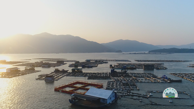 “浙里过大年”特别节目：囤好年货 过年啦