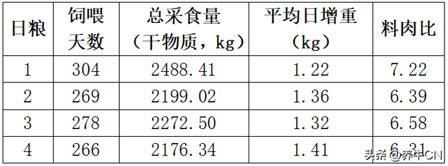 育肥牛日粮管理