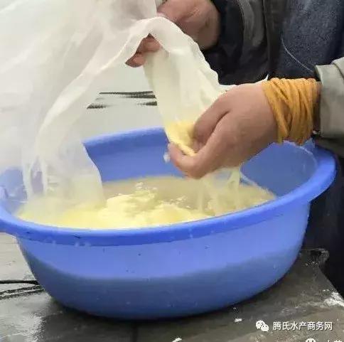 一文简析常规水花鱼下塘前后的饲养方法，让你有备无患！